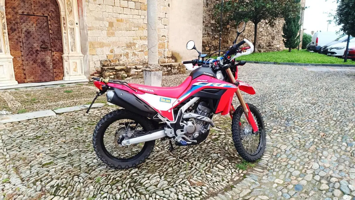 Honda CRF 300L (2021 - 24)  (5)