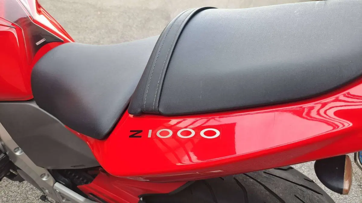 Kawasaki Z 1000 (2003 - 06)  (8)