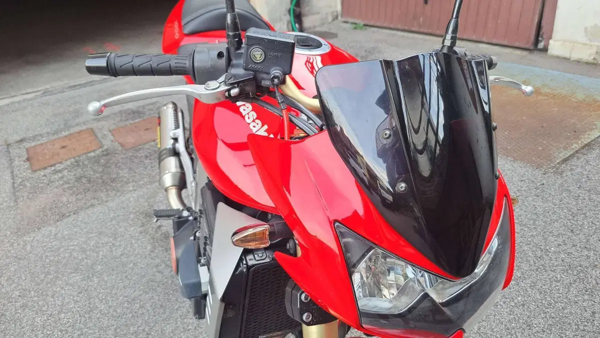 Kawasaki Z 1000 (2003 - 06)  (15)
