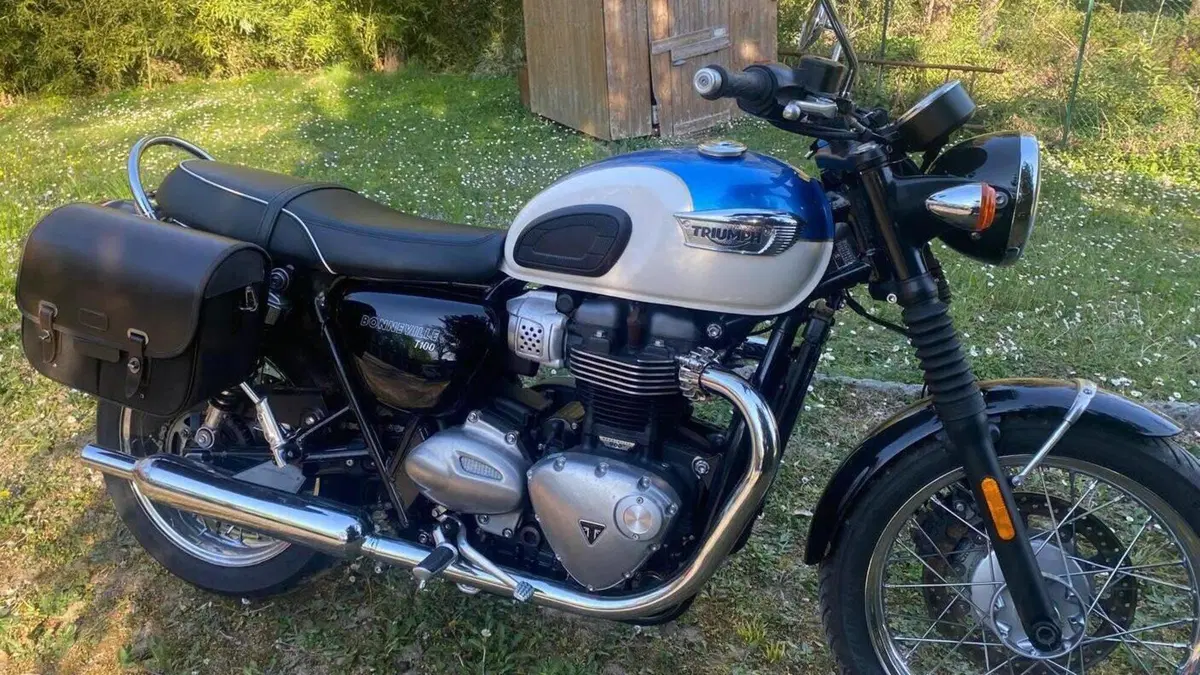 Triumph Bonneville T100 (2017 - 20)  (2)