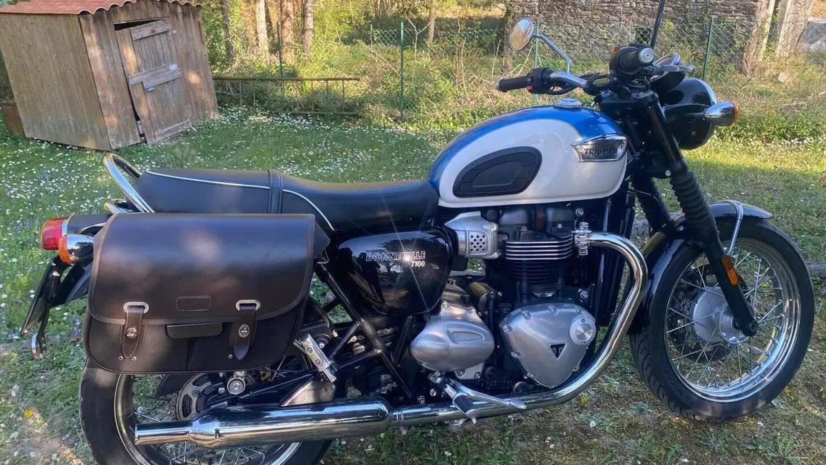 Triumph Bonneville T100 (2017 - 20) 