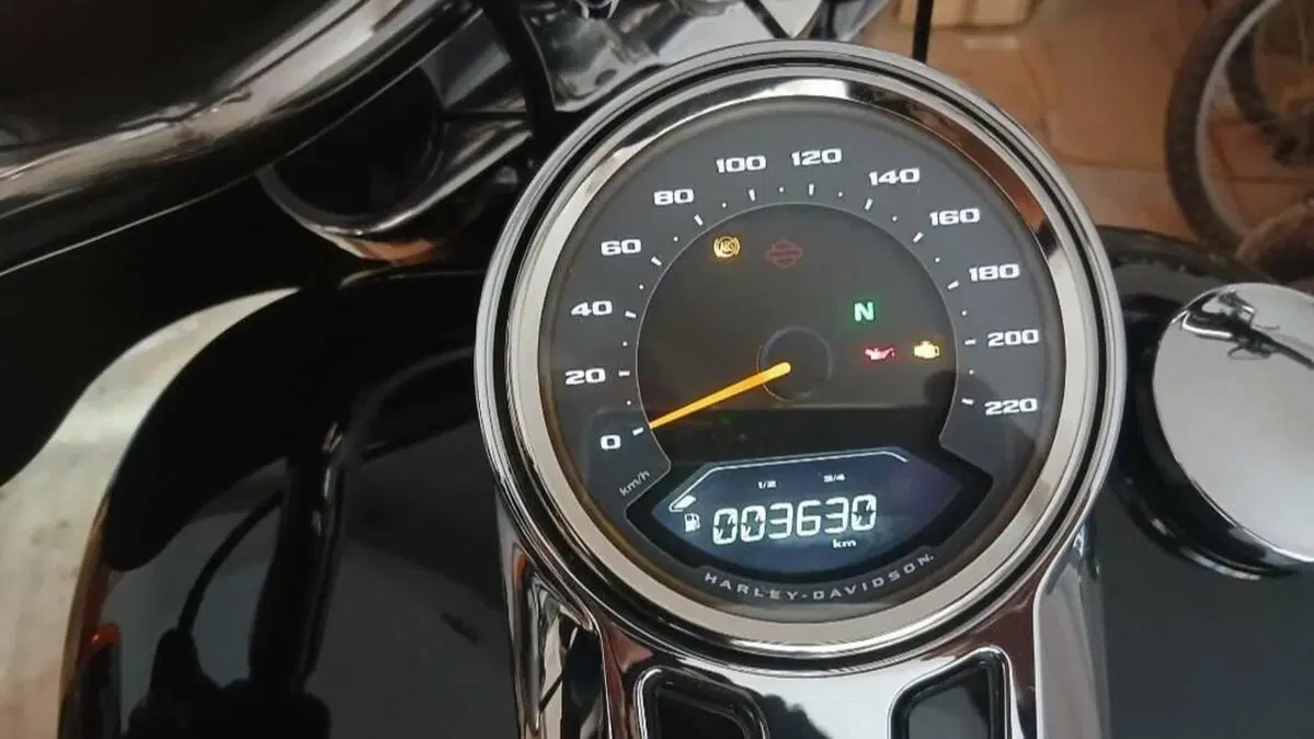 Harley-Davidson Sport Glide (2021 - 25)  (4)