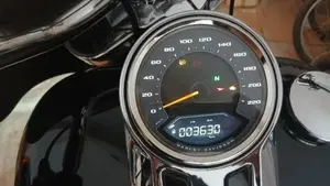 Harley-Davidson Sport Glide (2021 - 25)  (4)