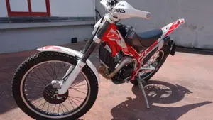 Betamotor Evo 300 2t (2017 - 18)  (4)