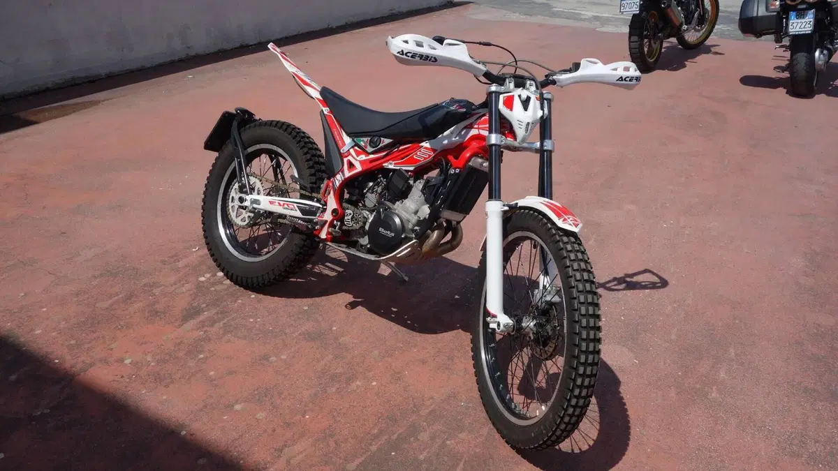 Betamotor Evo 300 2t (2017 - 18)  (2)
