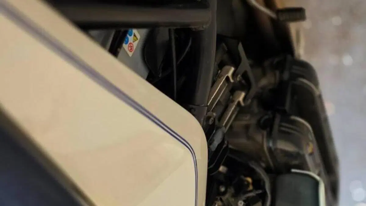 Bmw   (16)
