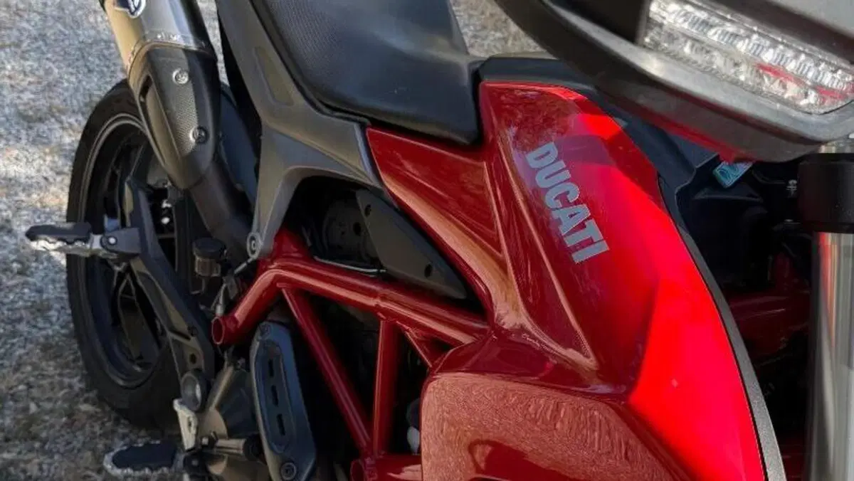 Ducati Hypermotard 939 (2016 - 18)  (15)