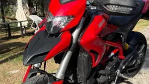 Ducati Hypermotard 939 (2016 - 18)  (19)