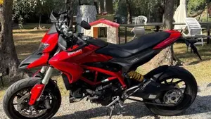 Ducati Hypermotard 939 (2016 - 18)  (20)