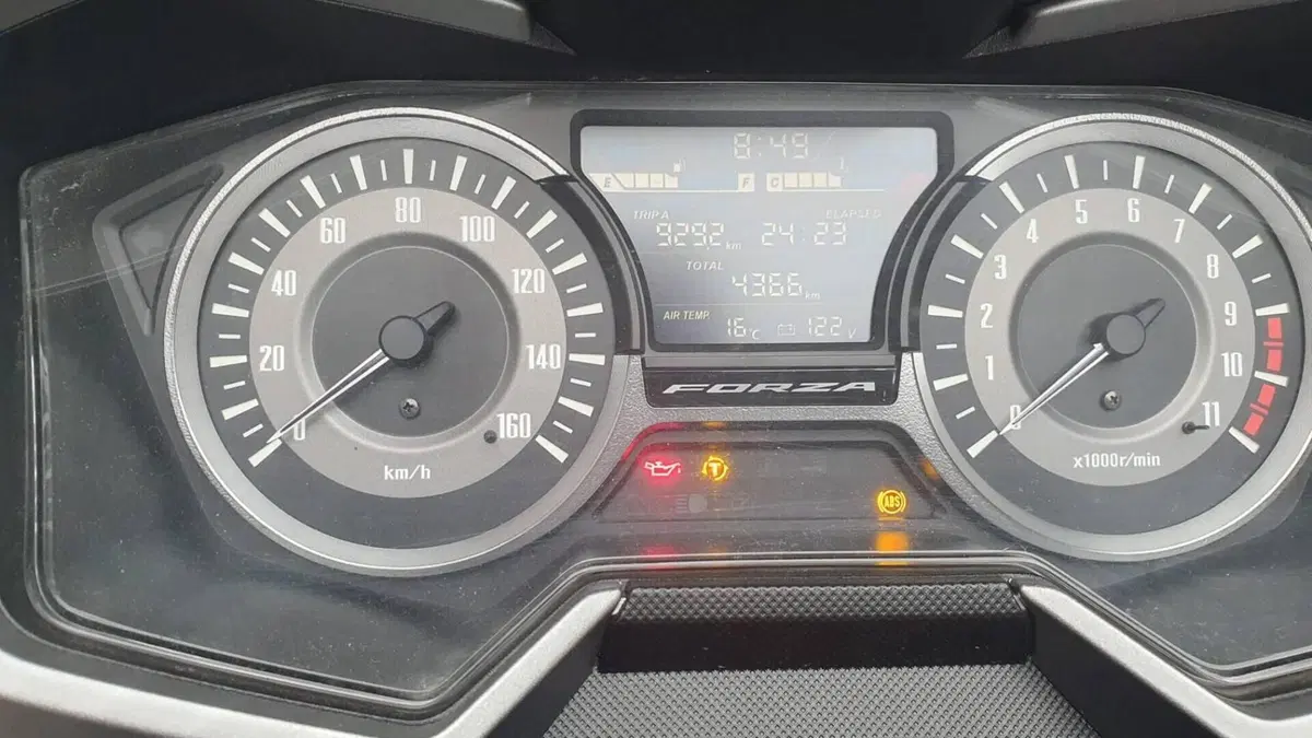 Honda Forza 300 (2019 - 20)  (4)