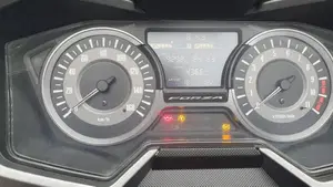 Honda Forza 300 (2019 - 20)  (4)