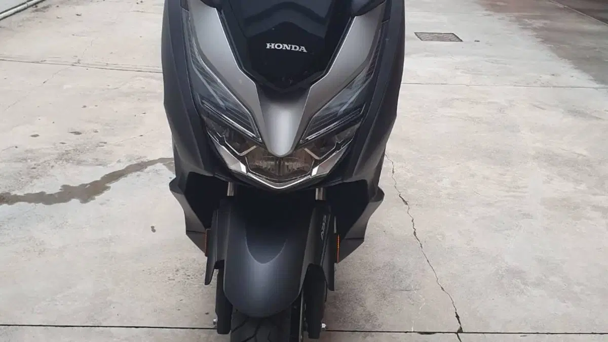 Honda Forza 300 (2019 - 20)  (5)