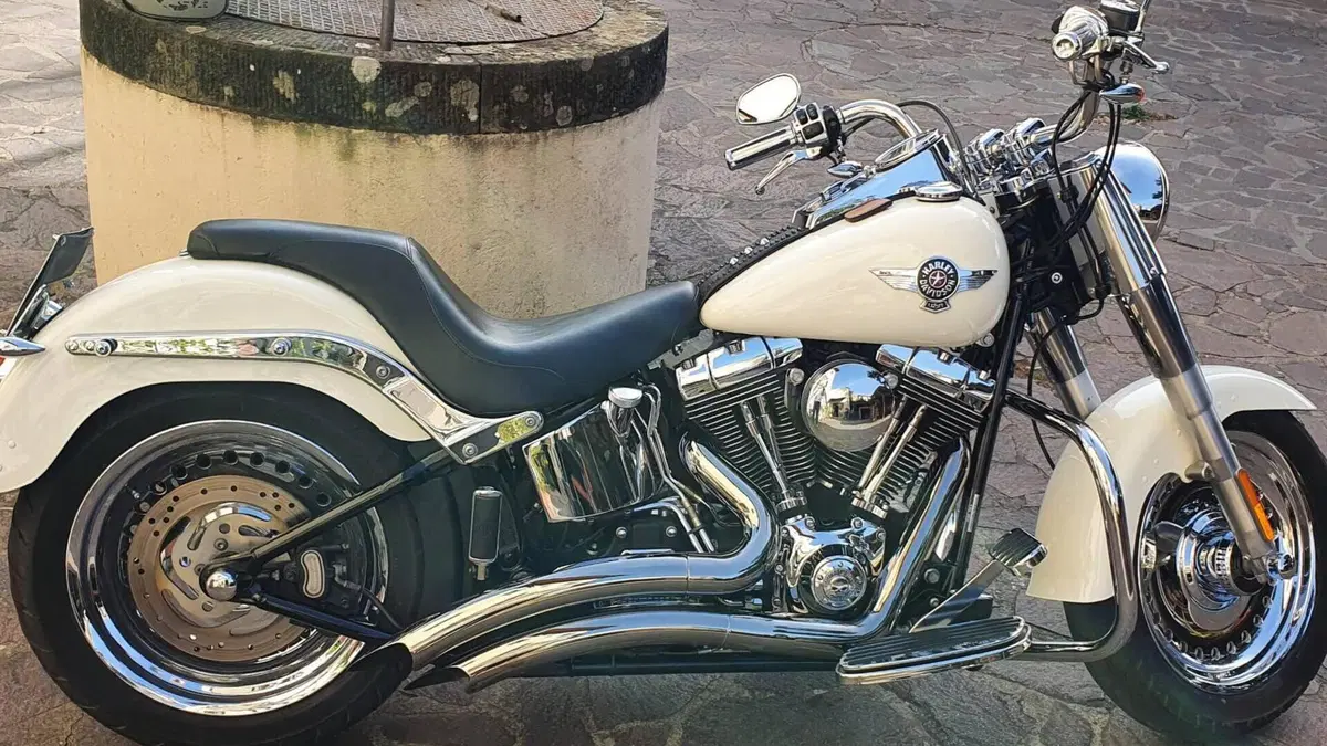 Harley-Davidson 1584 Fat Boy (2008 - 10) - FLSTF  (3)