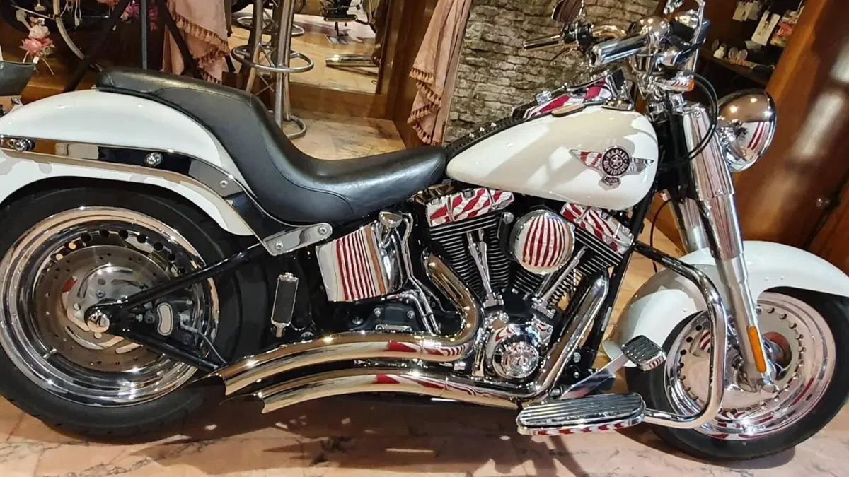Harley-Davidson 1584 Fat Boy (2008 - 10) - FLSTF  (8)