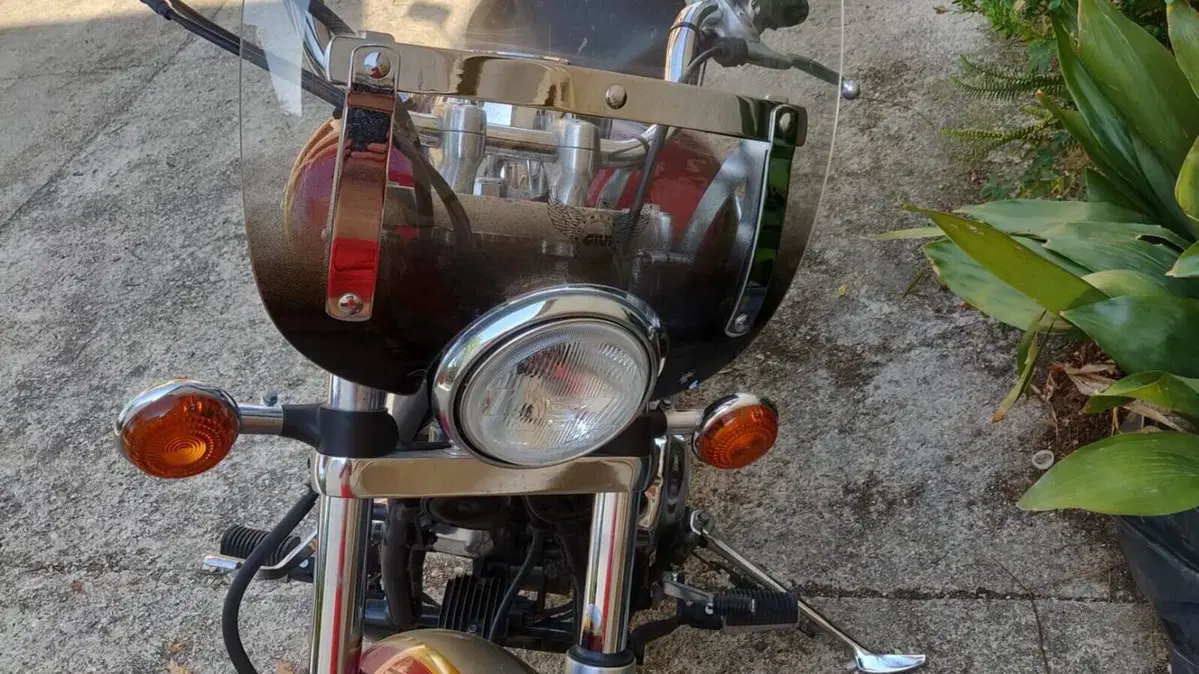 Yamaha   (3)
