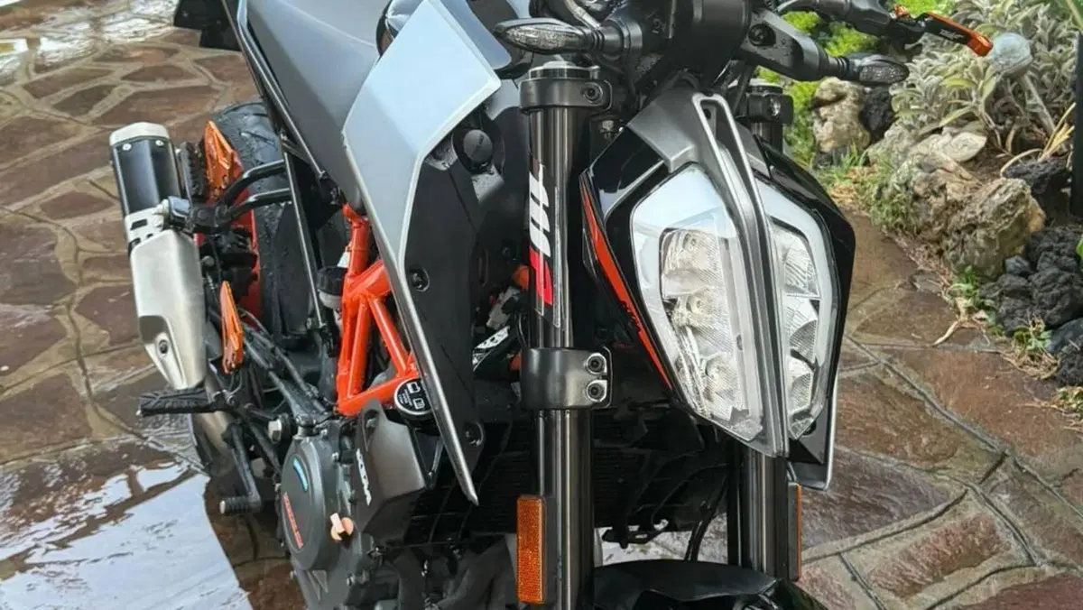 KTM 390 Duke (2021 - 23)  (5)