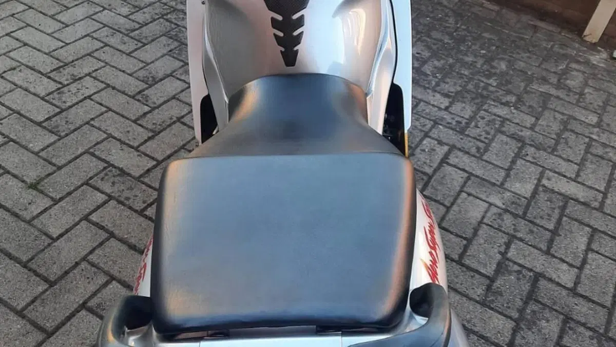 Yamaha YZF 600 R Thundercat  (5)
