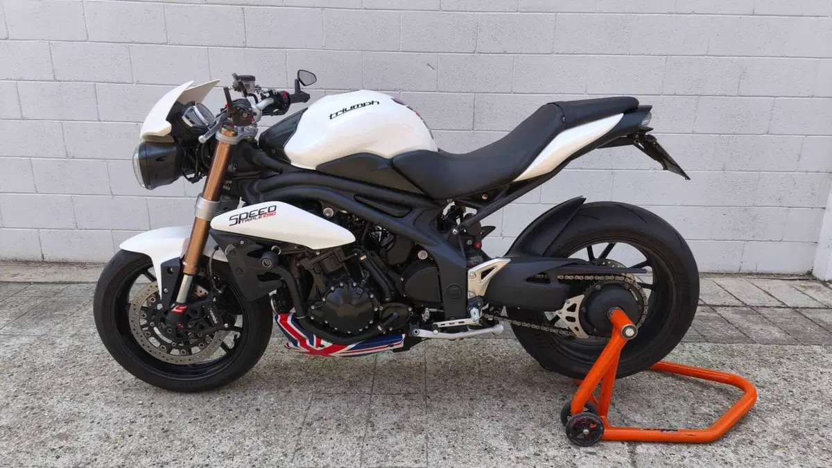Triumph Speed Triple 1050 ABS (2011 - 15)  (2)