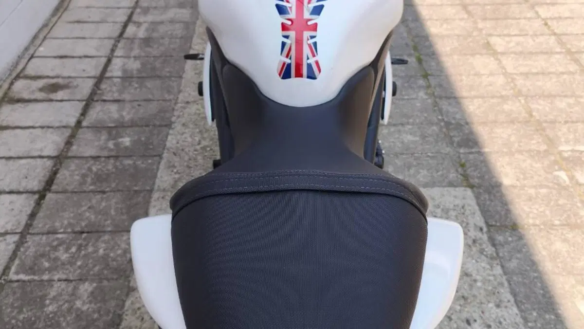 Triumph Speed Triple 1050 ABS (2011 - 15)  (5)