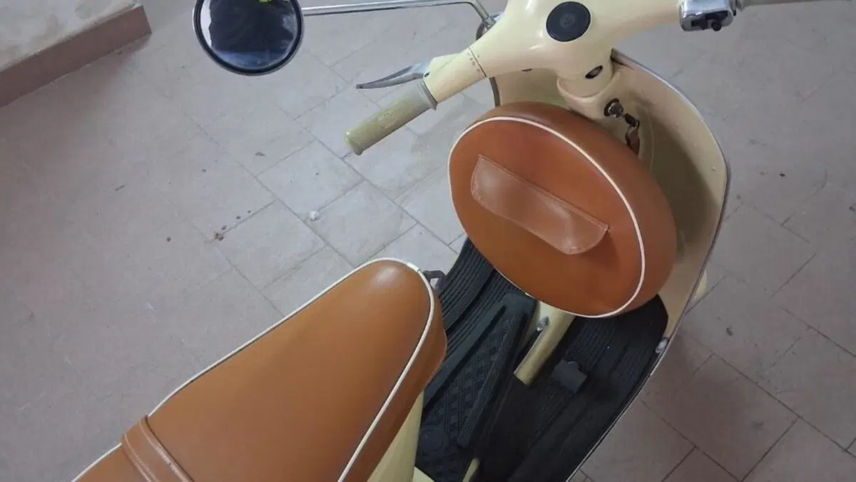 Piaggio   (8)