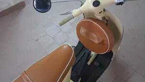 Piaggio   (8)