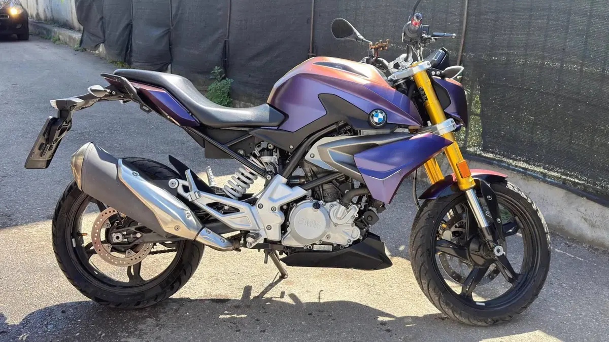 Bmw G 310 R (2016 - 20) 