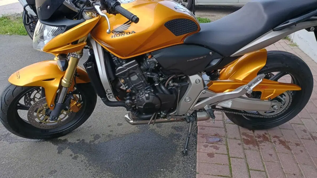 Honda Hornet 600 (2007 - 10) 