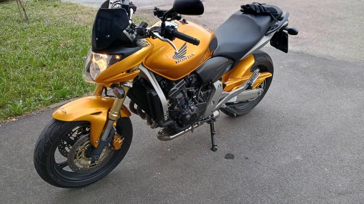 Honda Hornet 600 (2007 - 10)  (3)