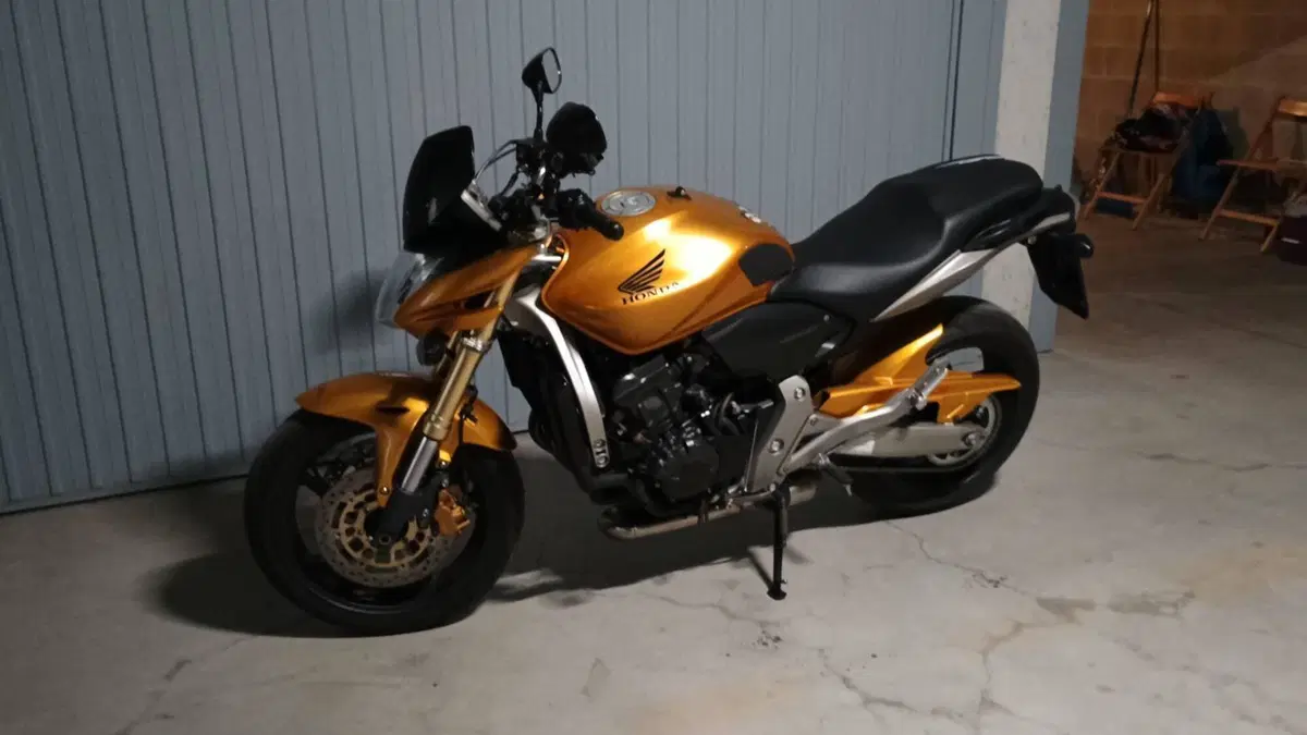 Honda Hornet 600 (2007 - 10)  (4)