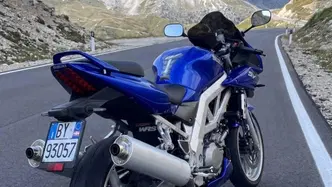 Suzuki SV 1000 S usata