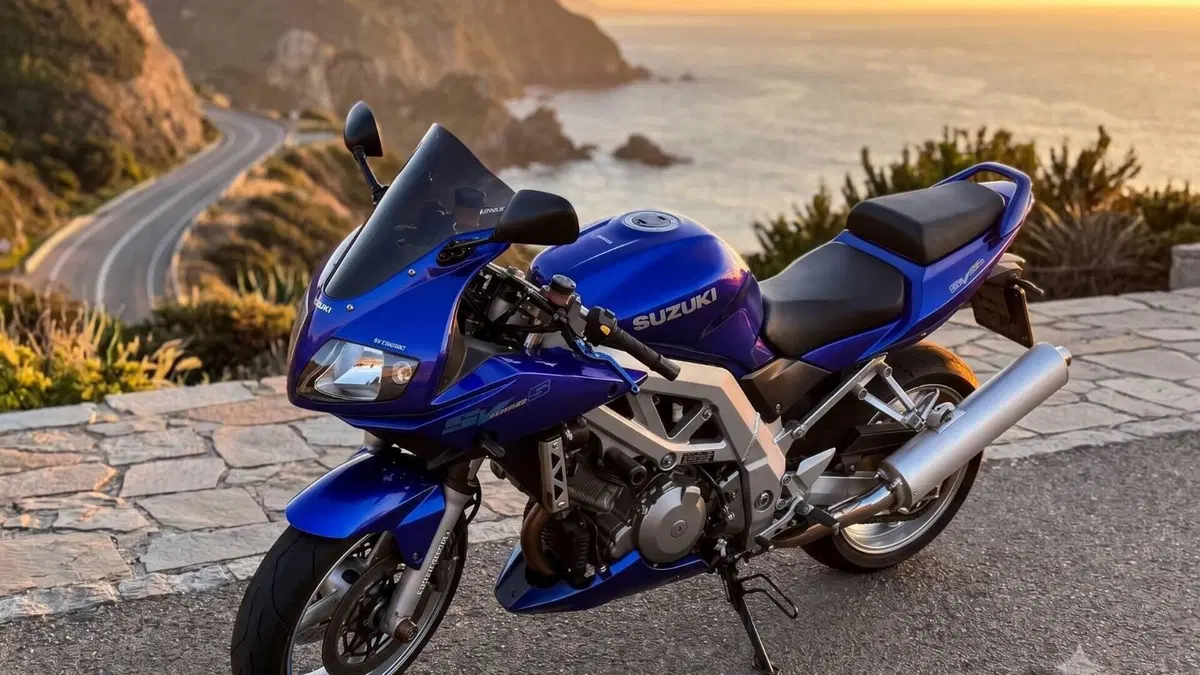 Suzuki SV 1000 S  (2)