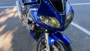 Suzuki SV 1000 S  (3)