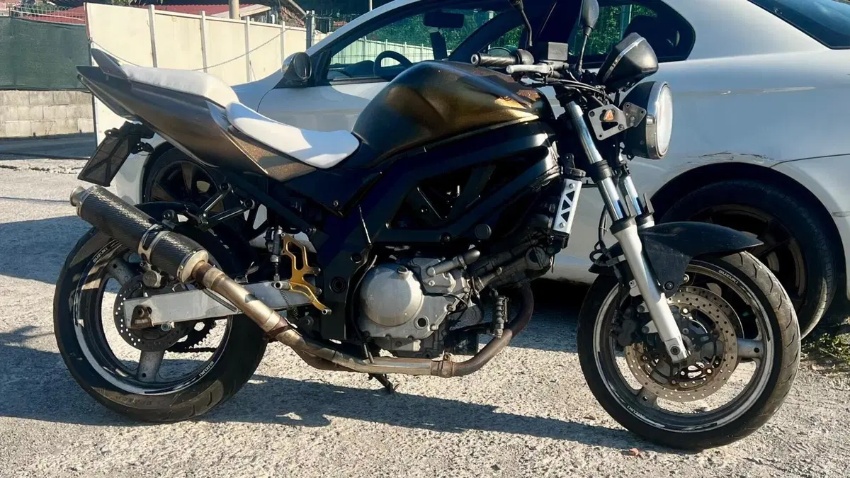 Suzuki SV 650 (2003 - 06)  (2)