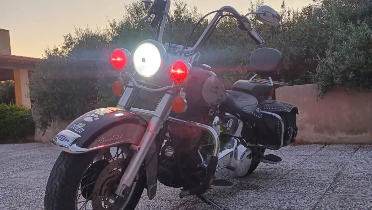 Harley-Davidson 1584 Heritage Classic (2006 - 07) - FLSTC  (3)