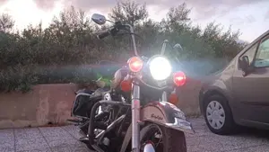 Harley-Davidson 1584 Heritage Classic (2006 - 07) - FLSTC  (4)