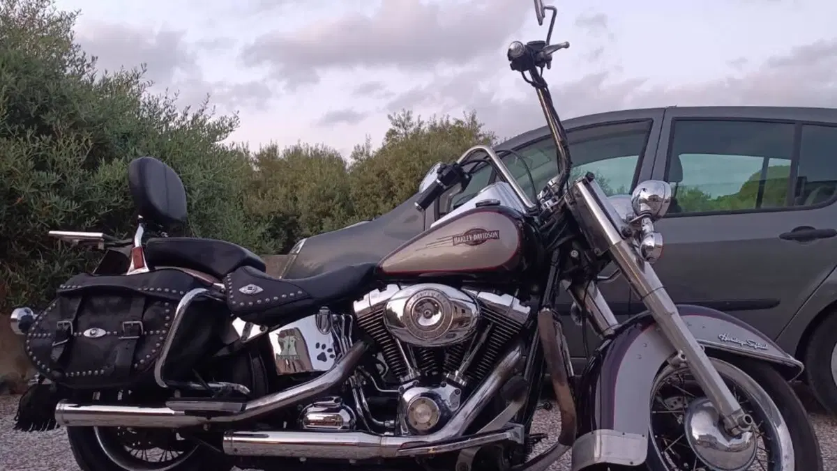 Harley-Davidson 1584 Heritage Classic (2006 - 07) - FLSTC  (5)