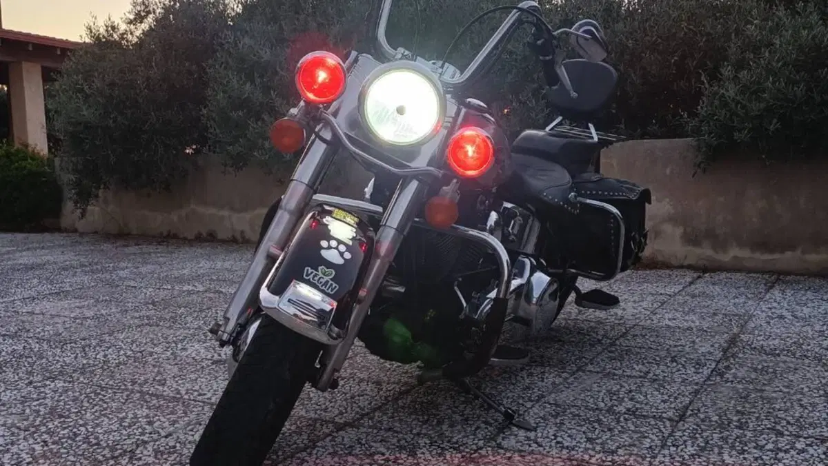 Harley-Davidson 1584 Heritage Classic (2006 - 07) - FLSTC  (8)