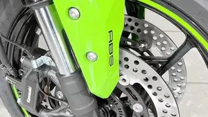 Kawasaki Ninja ZX-4RR (2024 - 26)  (4)