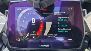 Triumph Tiger 1200 Rally Explorer (2022 - 23)  (12)