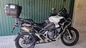 Triumph Tiger 1200 Rally Explorer (2022 - 23)  (9)