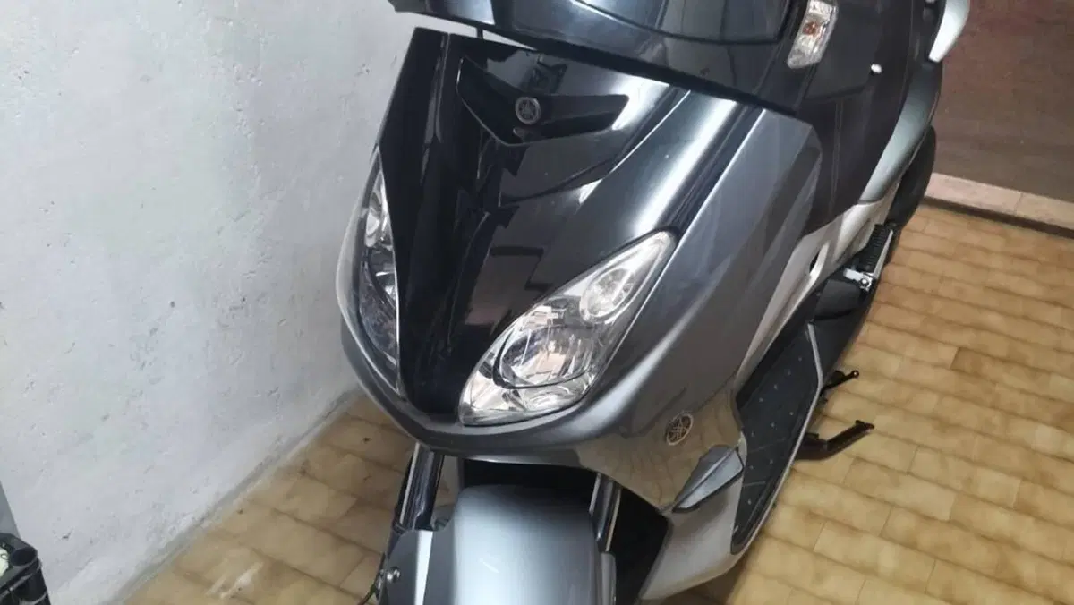 Yamaha X-Max 250 (2007 - 09)  (6)