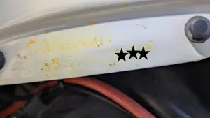 Piaggio   (9)