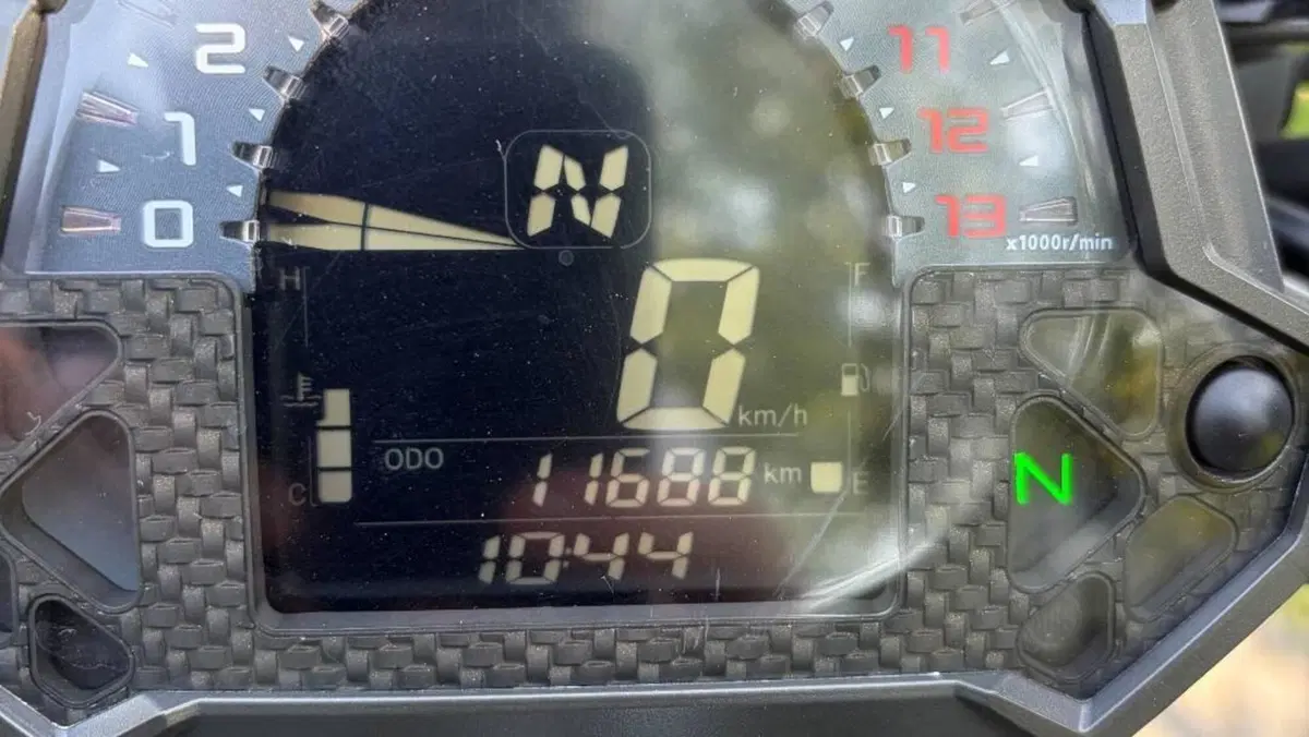 Kawasaki Z 900 (2019)  (6)
