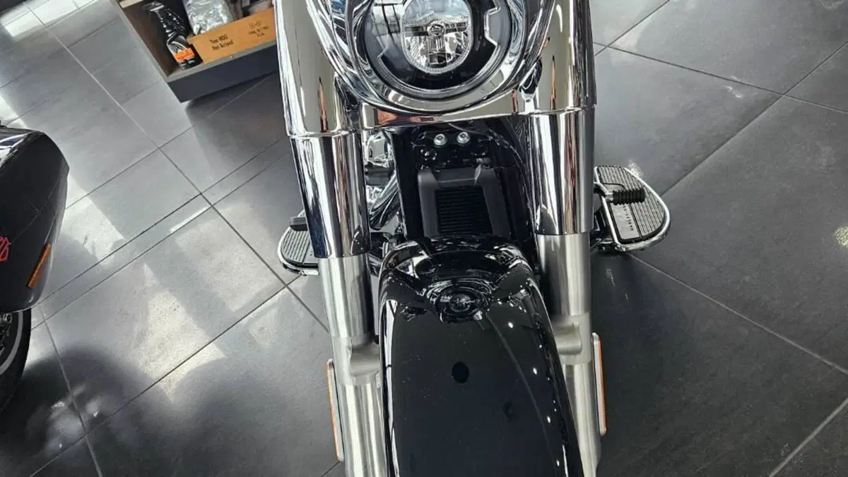 Harley-Davidson Street Glide Limited (2026)  (9)