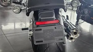 Harley-Davidson Street Glide Limited (2026)  (12)