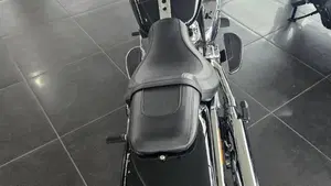 Harley-Davidson Street Glide Limited (2026)  (13)
