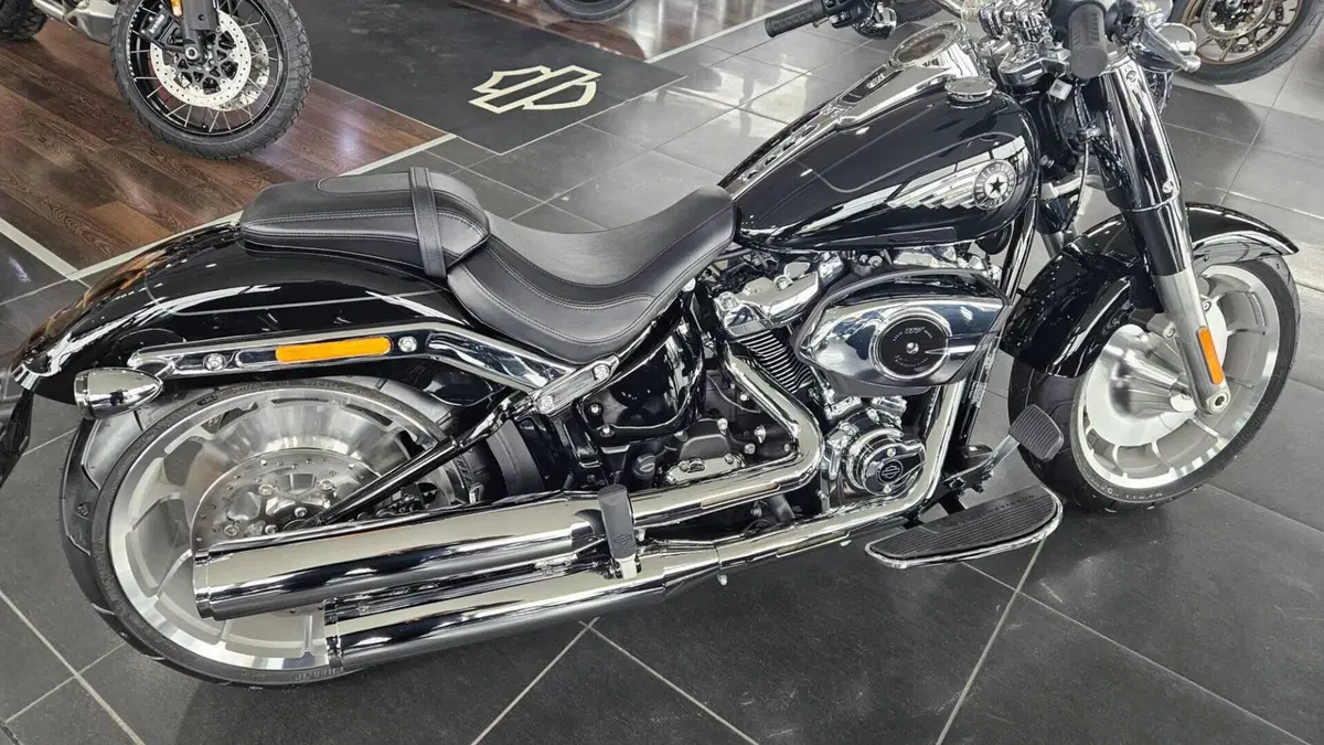 Harley-Davidson Street Glide Limited (2026)  (14)