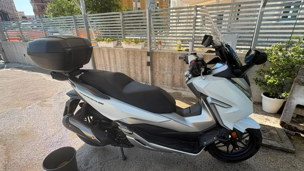 Honda Forza 300 (2019 - 20)  (4)