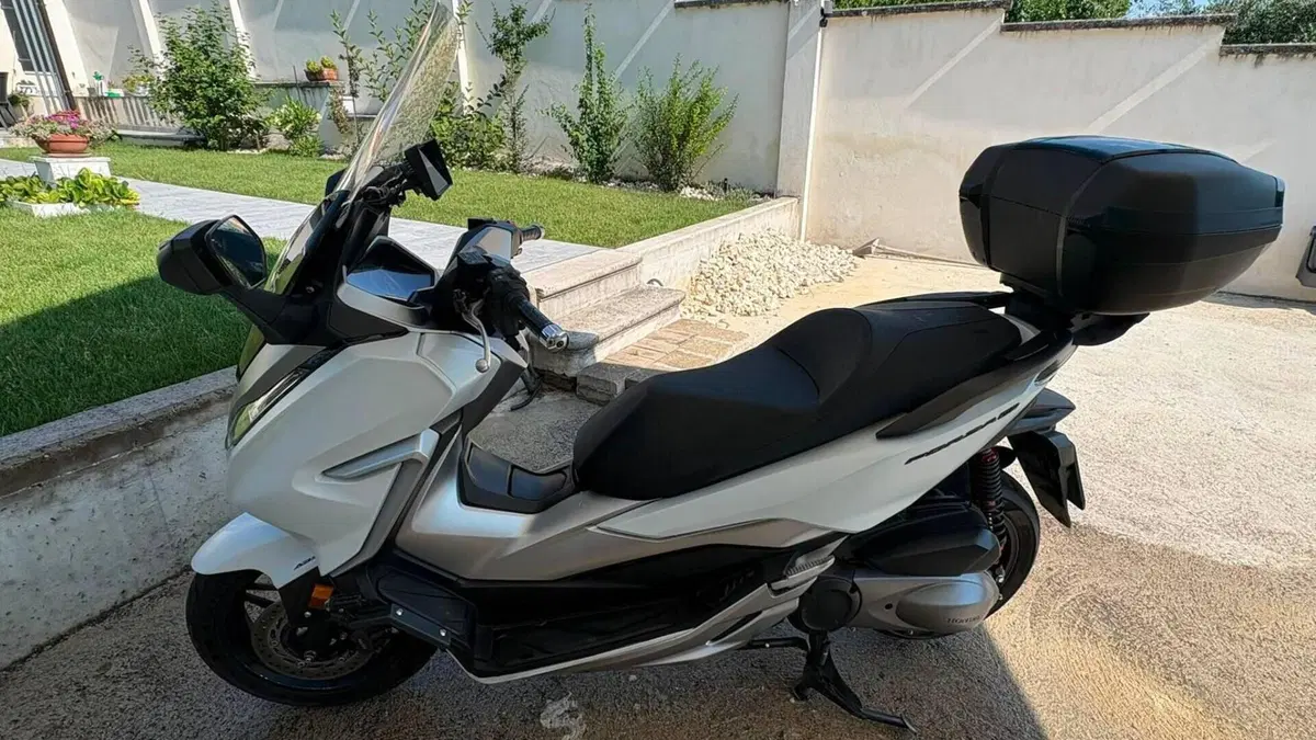 Honda Forza 300 (2019 - 20)  (5)