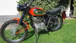 Ducati   (10)
